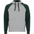 Miniatyrbillede 1 af 4: Roly Unisex Adult Badet Two Tone Hoodie