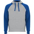 Miniatyrbillede 1 af 4: Roly Unisex Adult Badet Two Tone Hoodie