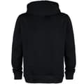 Miniatyrbild 2 av 2: Amplified Unisex Adult Dookie Longview Green Day Hoodie