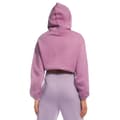 Pikkukuva 2 / 4: Light And Shade Womens/Ladies Cropped Hoodie