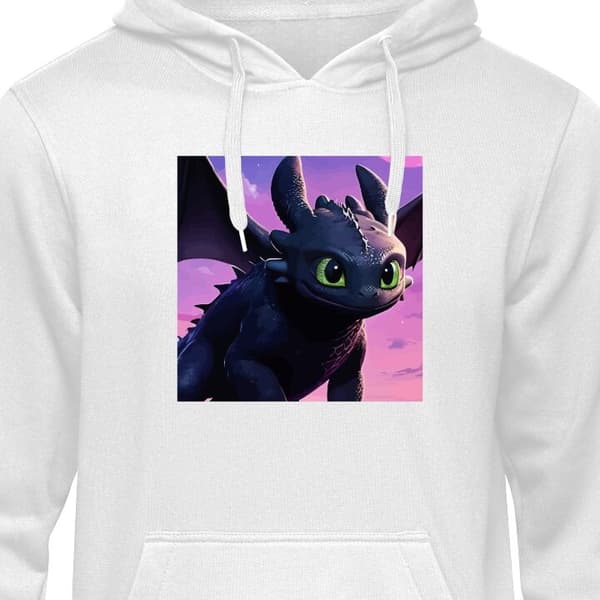 Klassisk Hoodie | Hættetrøje til Voksne Hvordan træner du din drage