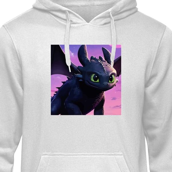 Klassisk Hoodie | Hættetrøje til Voksne Hvordan træner du din drage