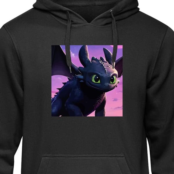 Klassisk Hoodie | Hættetrøje til Voksne Hvordan træner du din drage
