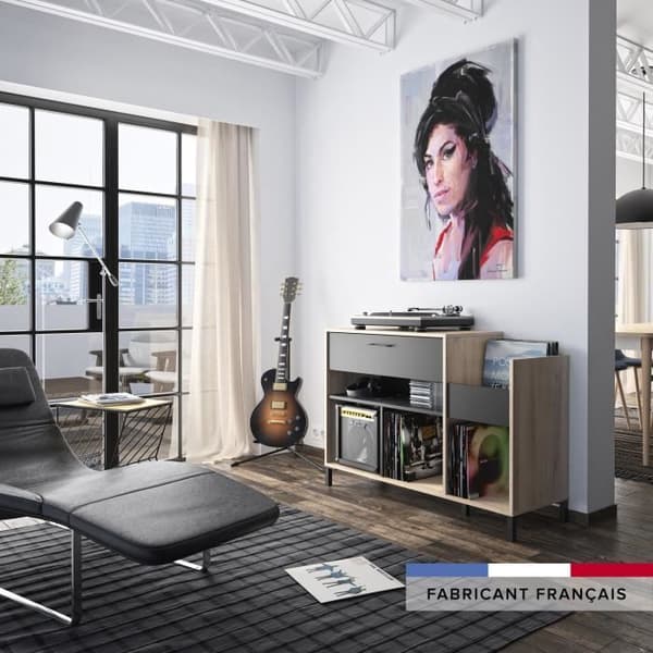 Vinylförvaringsenhet - GAMI - Platina - Urban stil - Ekdekor - Svart - L 115 x D 40 x H 81 cm