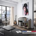 Miniatyrbild 5 av 6: Vinylförvaringsenhet - GAMI - Platina - Urban stil - Ekdekor - Svart - L 115 x D 40 x H 81 cm