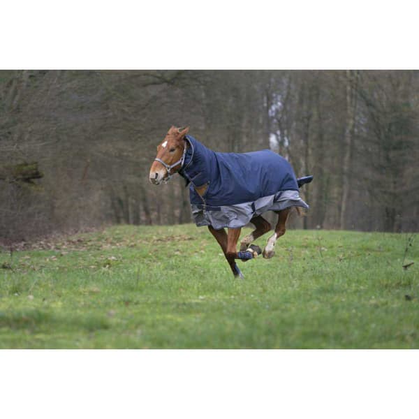 Equitheme Standard Valdeltagande Matta Tyrex 600 D Polyfil 50g Blå 215-165 cm