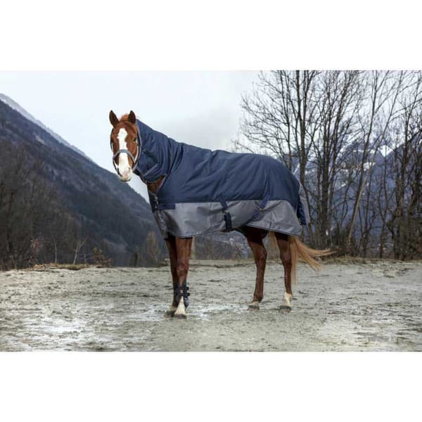 Equitheme Standard Valdeltagande Matta Tyrex 600 D Polyfil 50g Blå 215-165 cm