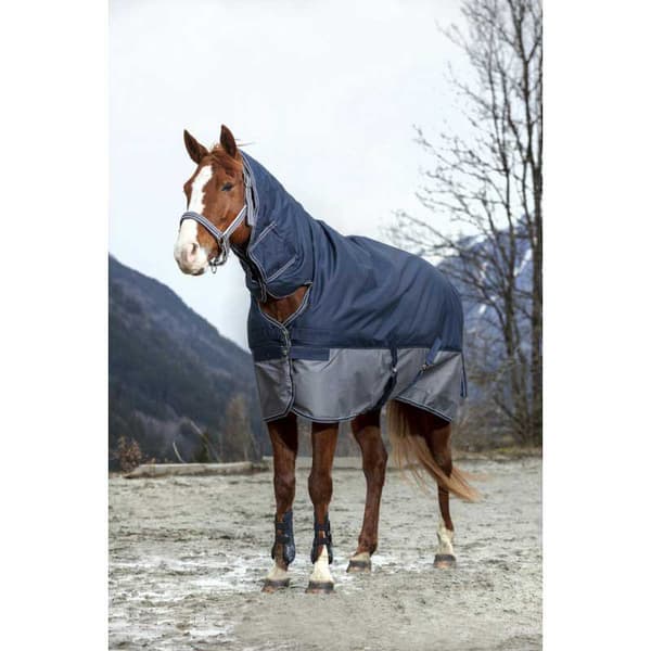 Equitheme Standard Valdeltagande Matta Tyrex 600 D Polyfil 50g Blå 215-165 cm