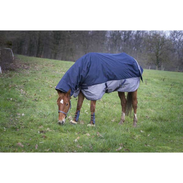 Equitheme Standard Valdeltagande Matta Tyrex 600 D Polyfil 50g Blå 215-165 cm