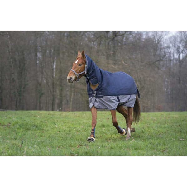 Equitheme Standard Valdeltagande Matta Tyrex 600 D Polyfil 50g Blå 215-165 cm