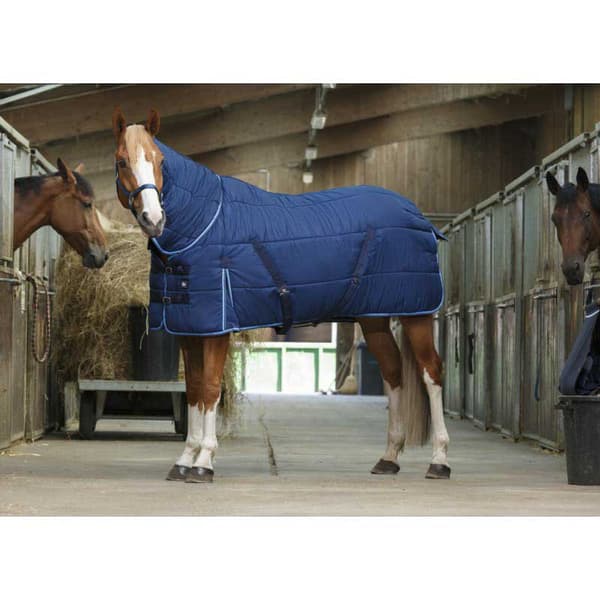 Riding World Vakaa Matto Combo Sininen 183-135 cm