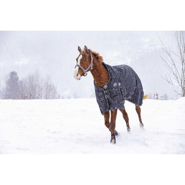 Riding World Äänestysmäärä Matto Impermeable Oxford Polyfil 0g Musta 190-145 cm