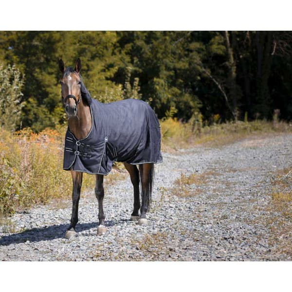 Riding World Äänestysmäärä Matto Impermeable Oxford Polyfil 0g Musta 190-145 cm