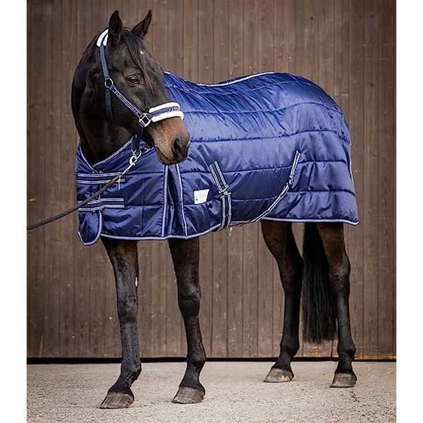 Waldhausen Stabilt Tæppe Economic 100g Blå 155 cm