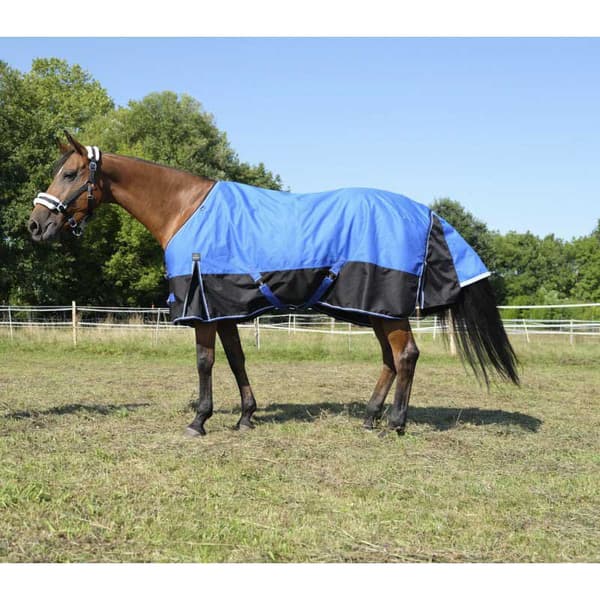 Equitheme Äänestysmäärä Matto Tyrex 1200 D Aisance Polyfil 0g Sininen 160-115 cm