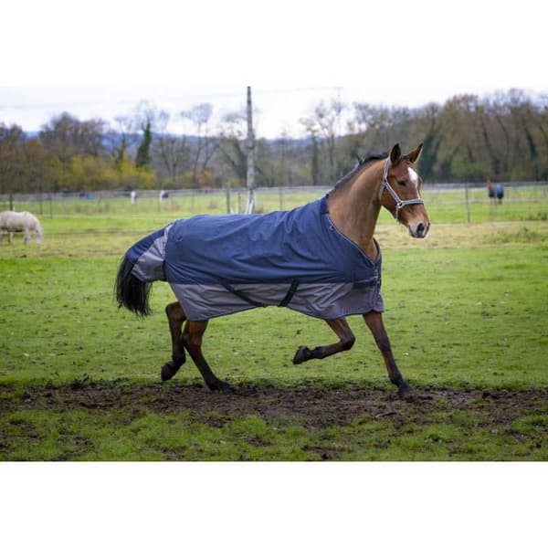 Equitheme Vakio Äänestysmäärä Matto Tyrex 600 D Polyfil 0g Sininen 140-100 cm