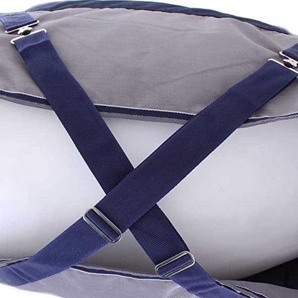 Equitheme Vakio Äänestysmäärä Matto Tyrex 600 D Polyfil 300g Sininen 168-120 cm
