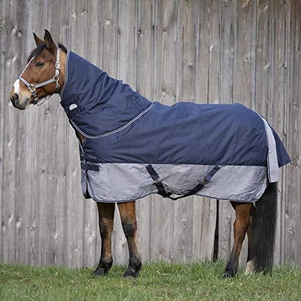 Equitheme Vakio Äänestysmäärä Matto Tyrex 600 D Polyfil 300g Sininen 168-120 cm