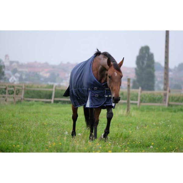 Equitheme Tyrex Pro Series 1680d Osoittautua Matto Sininen 190-145 cm