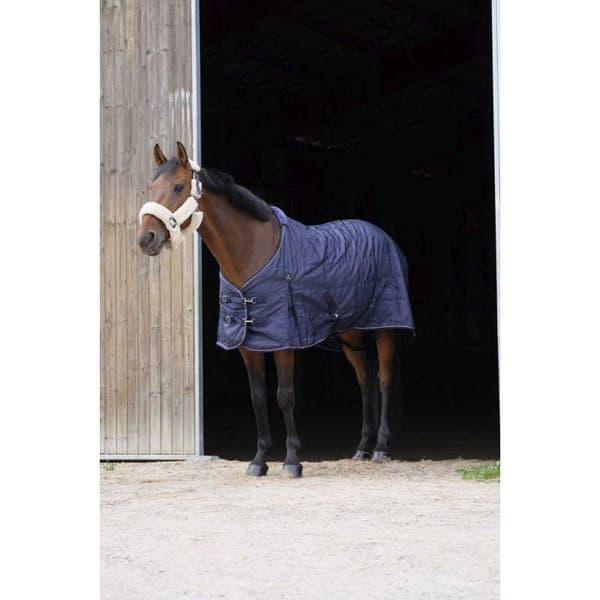 Equitheme Stabil Matta 840 D Polyfil 0g Blå 175-125 cm