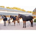 Miniatyrbillede 2 af 2: Equitheme Brystbeskytter Sort L