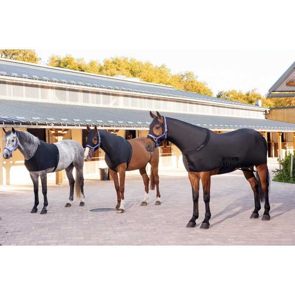 Equitheme Brystbeskytter Sort L