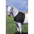 Miniatyrbillede 1 af 2: Equitheme Brystbeskytter Sort L