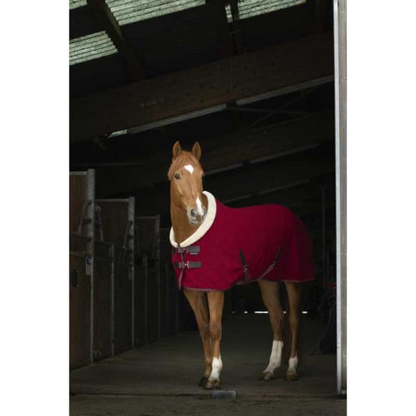 Equitheme Polar Standard Stabil Matta Teddy Röd 183-135 cm