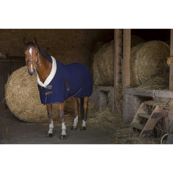Equitheme Polar Standard Stabil Matta Teddy Blå 206-155 cm