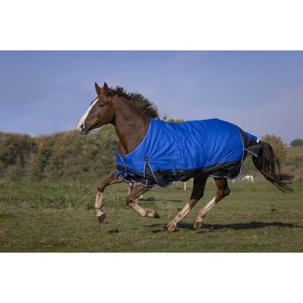 Equitheme Äänestysmäärä Matto Tyrex 1200 D Aisance Polyfil 0g Sininen 168-120 cm