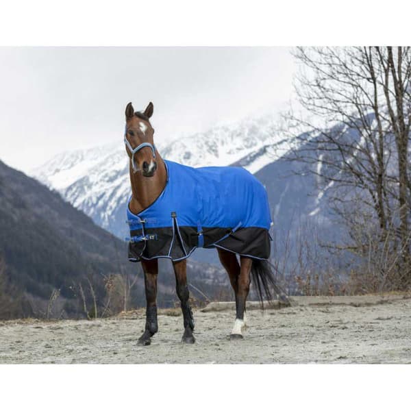 Equitheme Äänestysmäärä Matto Tyrex 1200 D Aisance Polyfil 150g Sininen 175-125 cm