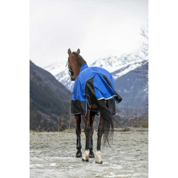 Equitheme Äänestysmäärä Matto Tyrex 1200 D Aisance Polyfil 150g Sininen 175-125 cm