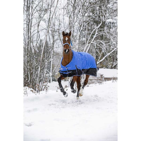 Equitheme Äänestysmäärä Matto Tyrex 1200 D Aisance Polyfil 150g Sininen 175-125 cm