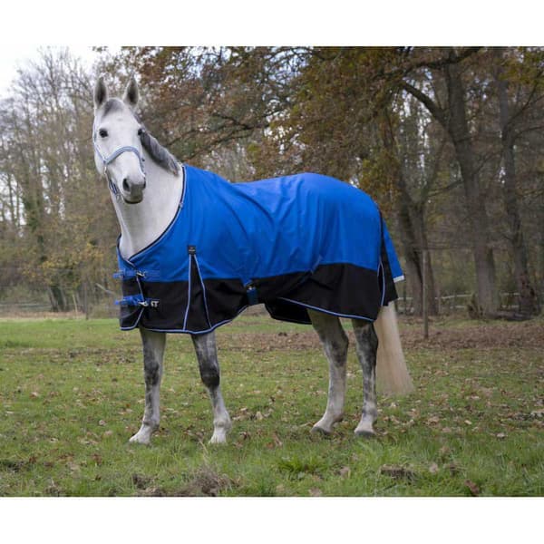 Equitheme Äänestysmäärä Matto Tyrex 1200 D Aisance Polyfil 150g Sininen 175-125 cm
