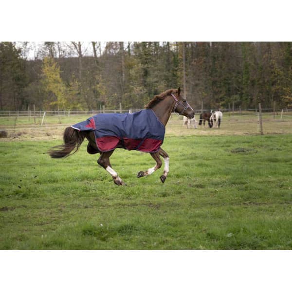 Equitheme Standard Valdeltagande Matta Tyrex 1200 D Polyfil 0g Blå 198-150 cm