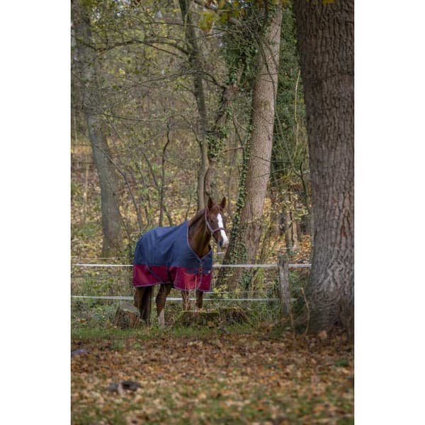 Equitheme Standard Valdeltagande Matta Tyrex 1200 D Polyfil 0g Blå 198-150 cm
