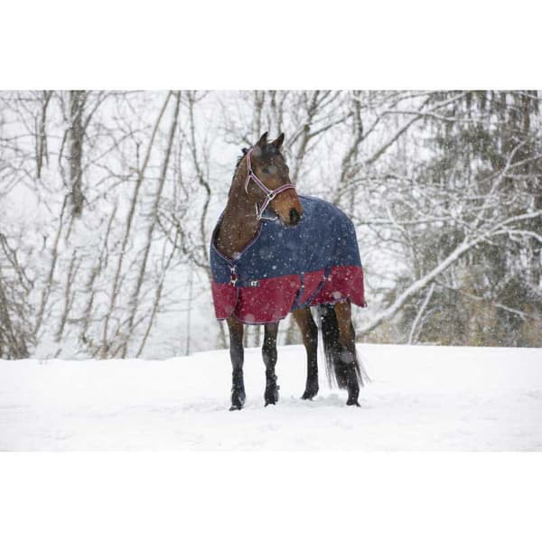 Equitheme Standard Valdeltagande Matta Tyrex 1200 D Polyfil 0g Blå 198-150 cm