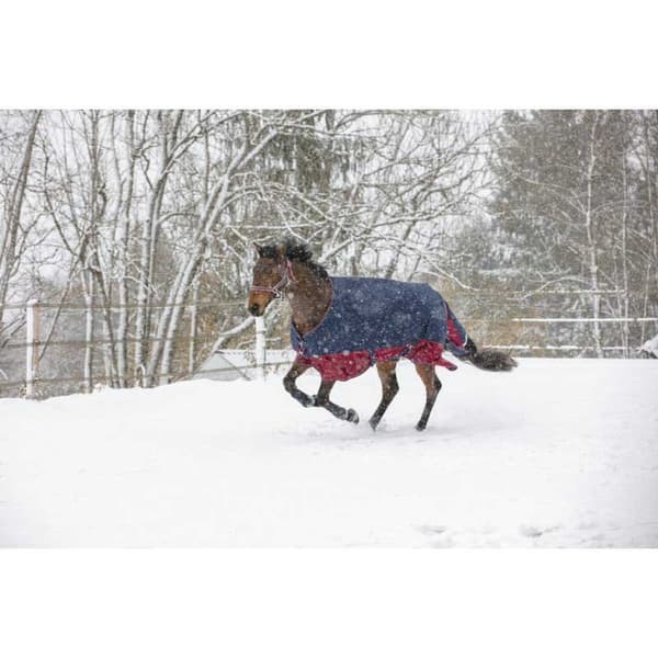 Equitheme Standard Valdeltagande Matta Tyrex 1200 D Polyfil 0g Blå 198-150 cm