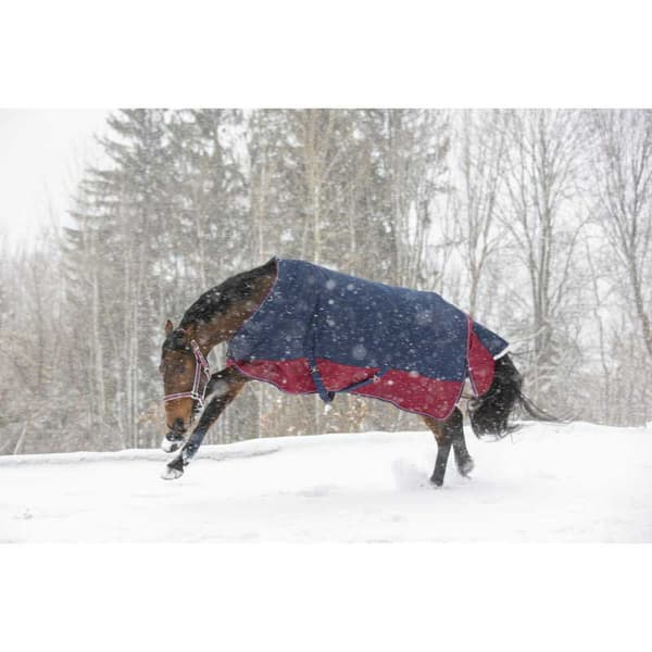 Equitheme Standard Valdeltagande Matta Tyrex 1200 D Polyfil 0g Blå 198-150 cm
