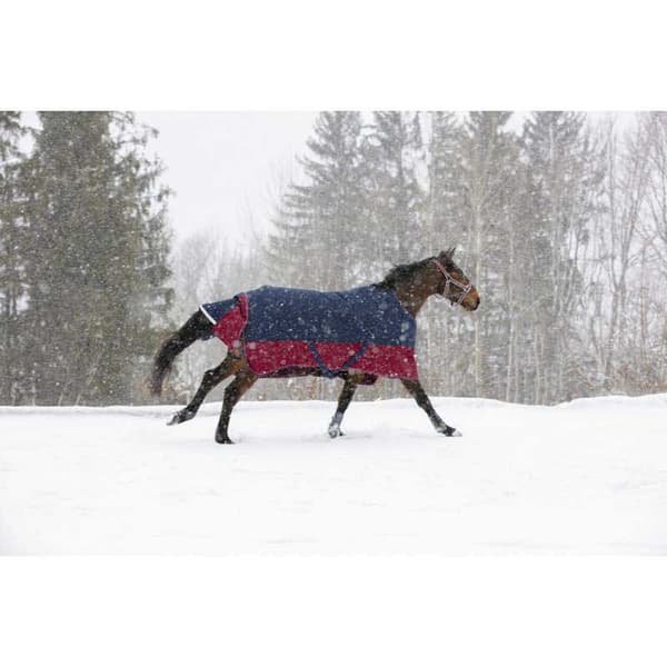 Equitheme Standard Valdeltagande Matta Tyrex 1200 D Polyfil 0g Blå 198-150 cm