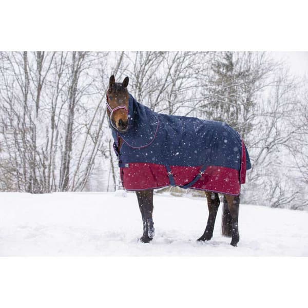 Equitheme Standard Valdeltagande Matta Tyrex 1200 D Polyfil 0g Blå 198-150 cm