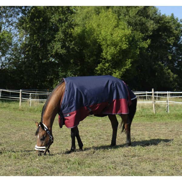 Equitheme Standard Valdeltagande Matta Tyrex 1200 D Polyfil 0g Blå 198-150 cm