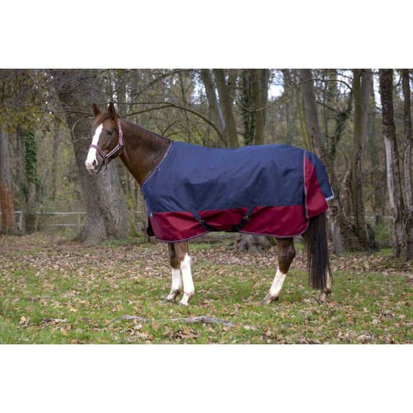 Equitheme Standard Valdeltagande Matta Tyrex 1200 D Polyfil 0g Blå 198-150 cm
