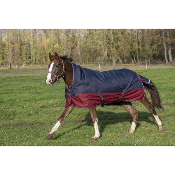 Equitheme Korkea Kaula Äänestysmäärä Matto Tyrex 1200 D Polyfil 150g Sininen 175-125 cm