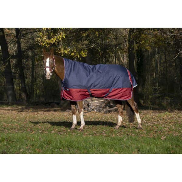 Equitheme Korkea Kaula Äänestysmäärä Matto Tyrex 1200 D Polyfil 150g Sininen 175-125 cm