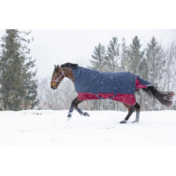 Equitheme Korkea Kaula Äänestysmäärä Matto Tyrex 1200 D Polyfil 150g Sininen 175-125 cm