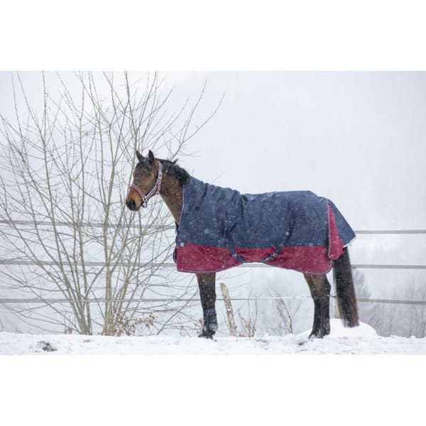 Equitheme Korkea Kaula Äänestysmäärä Matto Tyrex 1200 D Polyfil 150g Sininen 175-125 cm