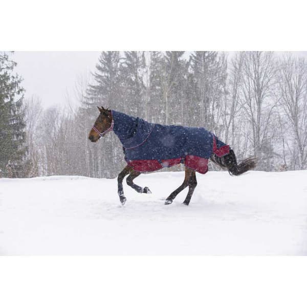 Equitheme Vattentätt Halsskydd Tyrex 1200 D Polyfil 200g Blå Cob