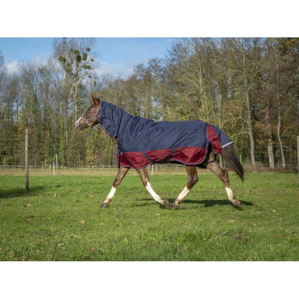 Equitheme Äänestysmäärä Matto Combo Tyrex 1200 D Polyfil 350g Sininen 175-125 cm