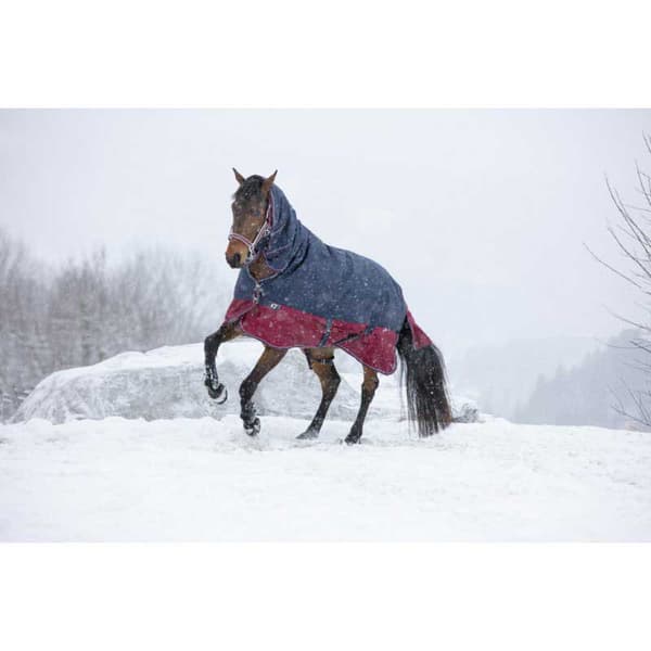 Equitheme Äänestysmäärä Matto Combo Tyrex 1200 D Polyfil 350g Sininen 175-125 cm